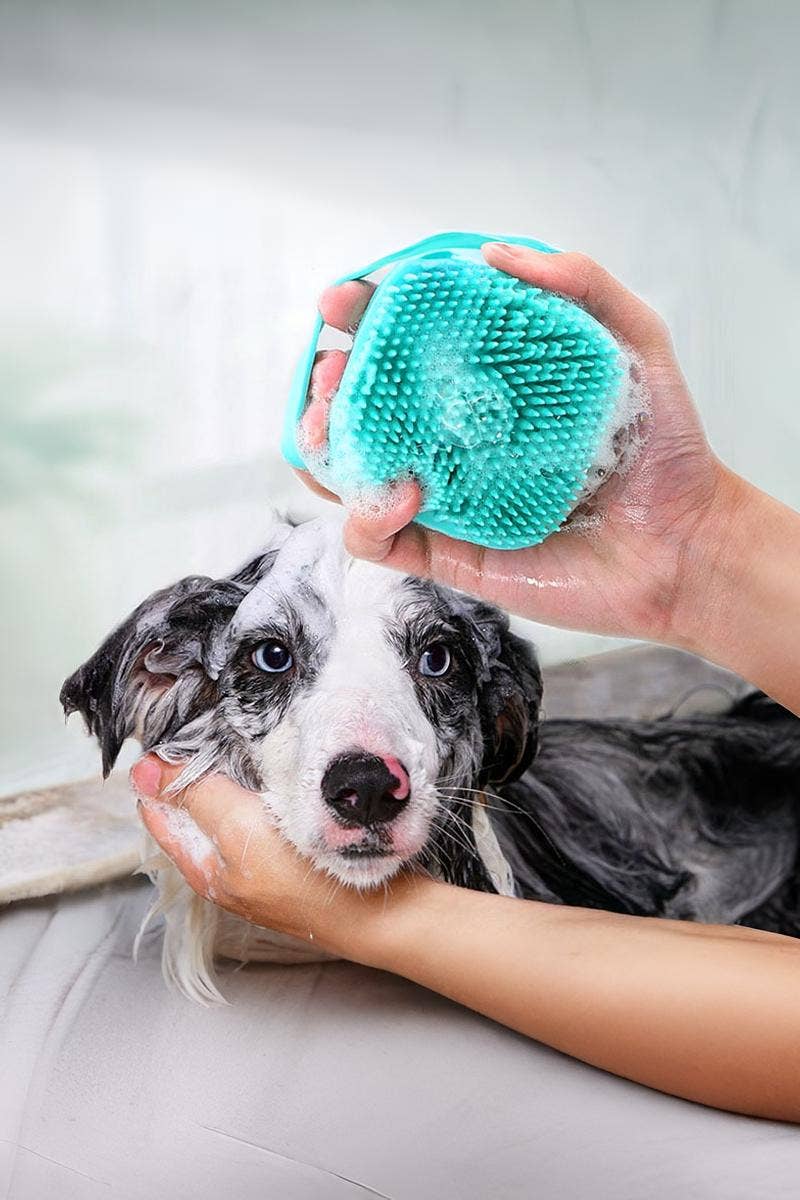 Silicone Pet Bath & Shampoo Brush – Blue