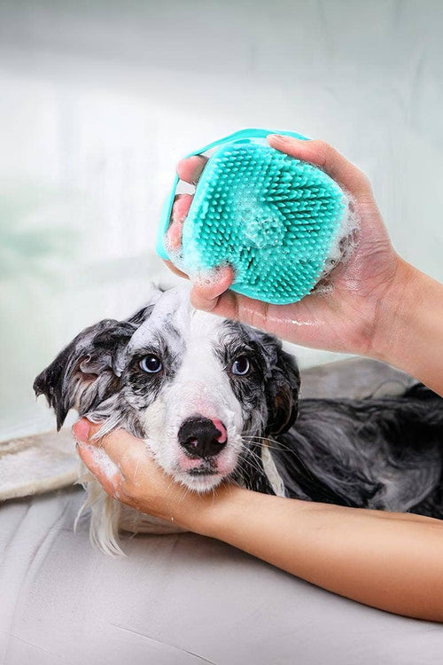 Silicone Pet Bath & Shampoo Brush – Blue